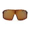 Matte Turtle Brown