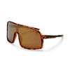 Matte Turtle Brown