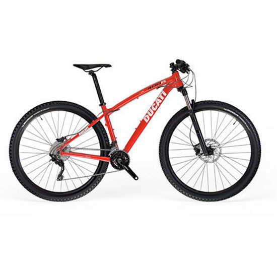 ducati mtb bicycle