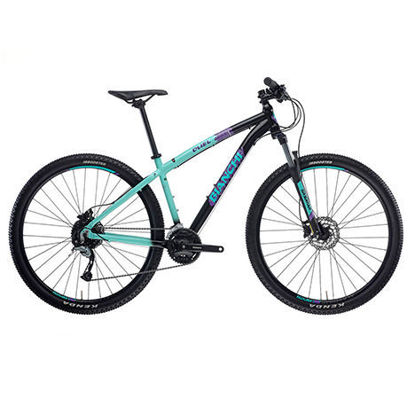 bianchi grizzly 9.3